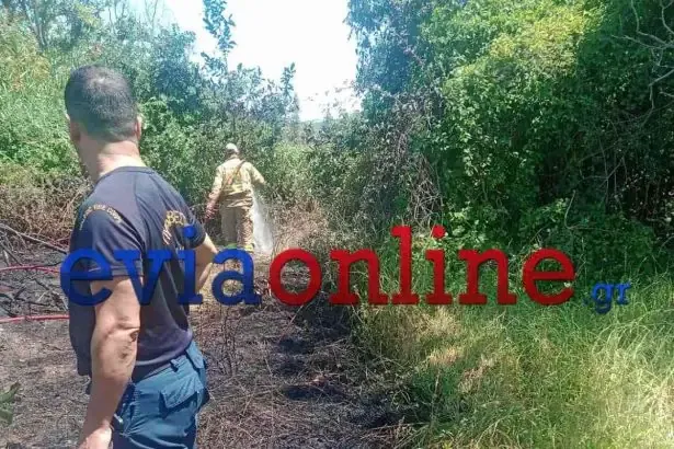 eyboia-fwtia.webp