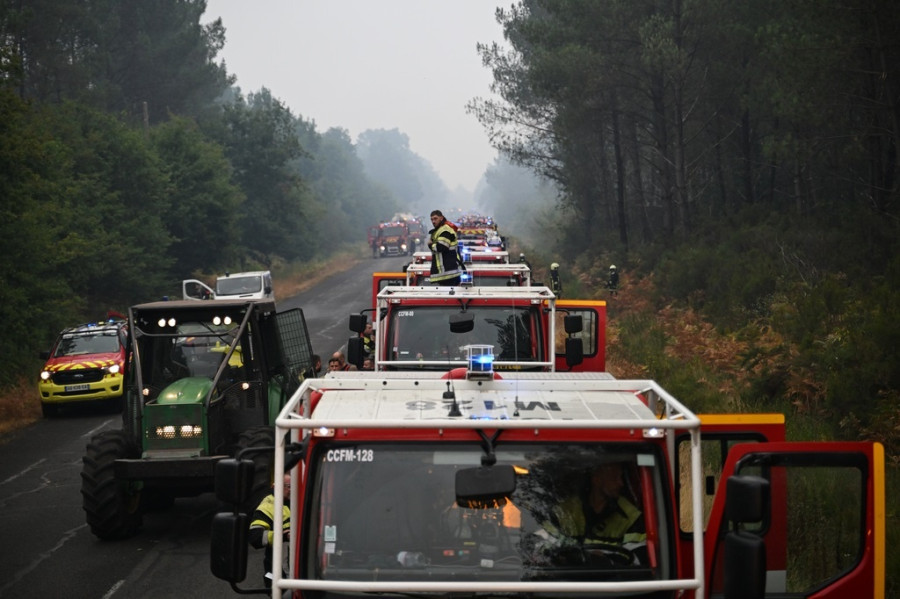 1784990285718-202656143-fotia-gallia.jpg