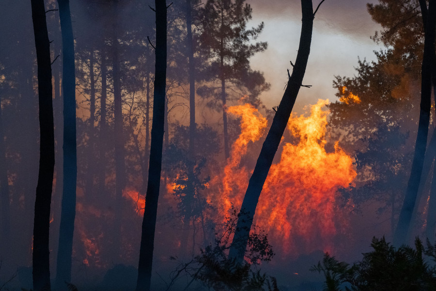 France Wildfires