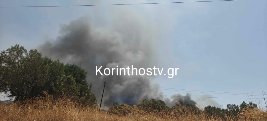 Στιγμιότυπο από τη φωτιά στα Εξαμίλια