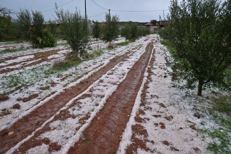 Καταστροφές από την έντονη χαλαζόπτωση