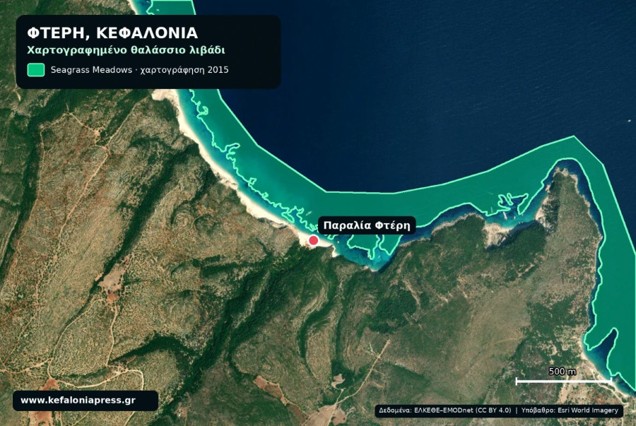 fteri-seagrass-official-map-1.jpg