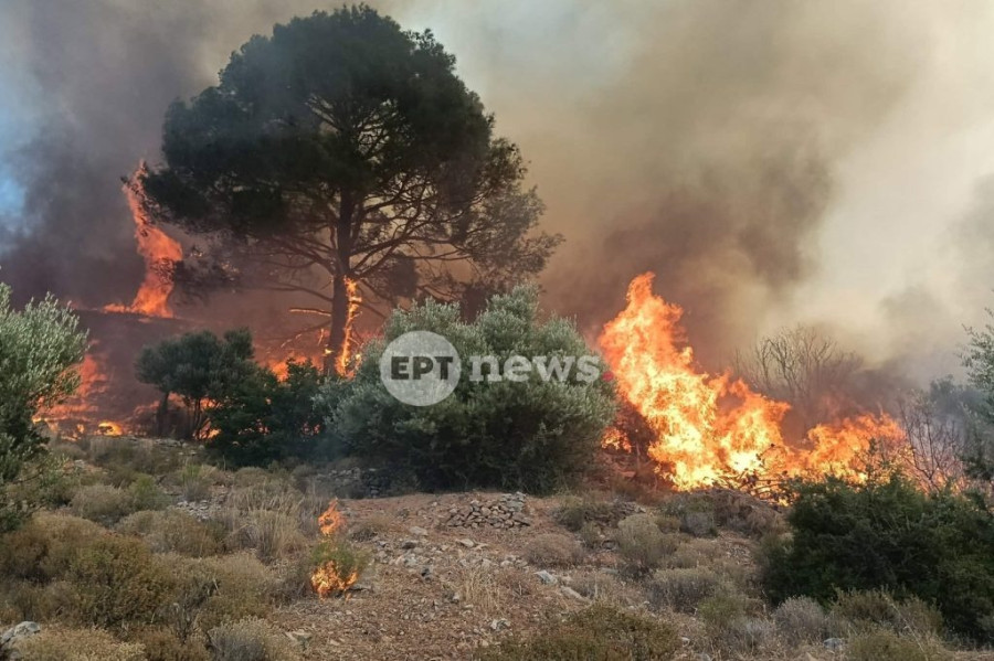 Φωτιά Μυτιλήνη 