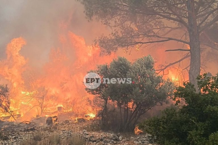 Φωτιά Μυτιλήνη