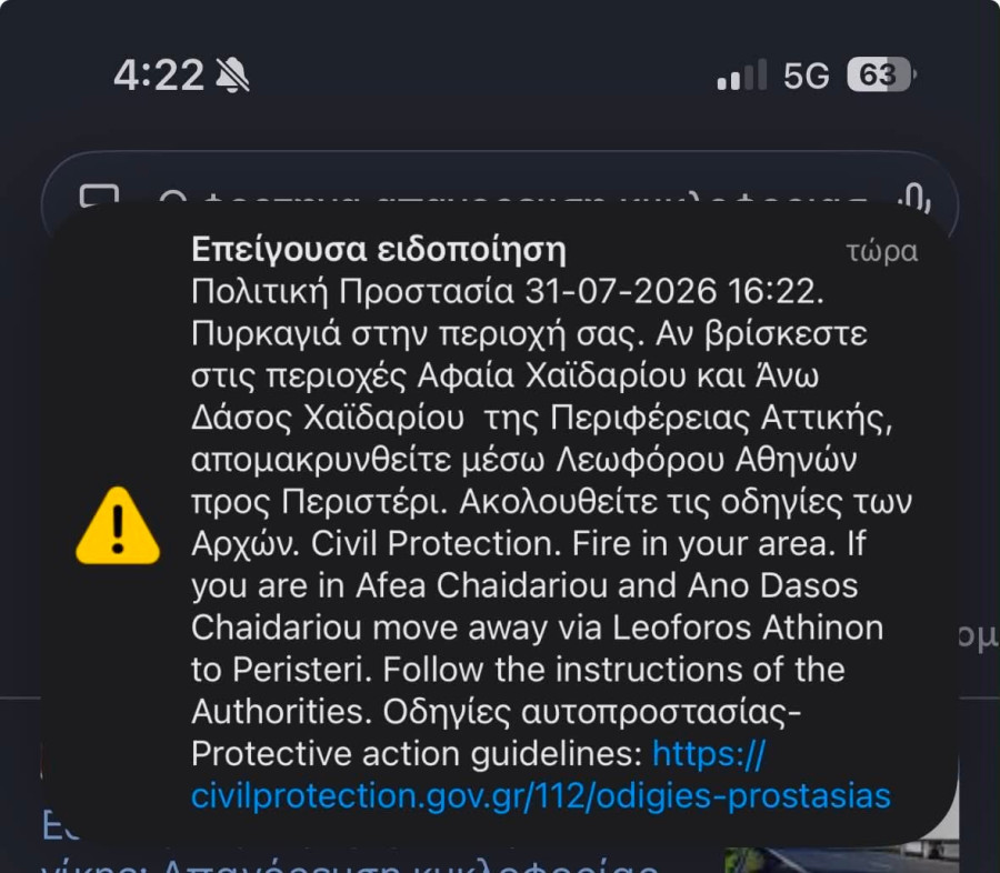 2b55cd53-8264-4d96-a158-2d2c3f211528-1.jpeg