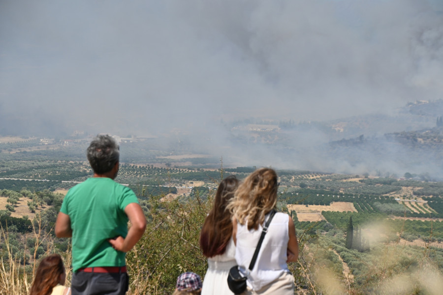 ΠΥΡΚΑΓΙΑ ΣΤΟ ΦΙΧΤΙ ΑΡΓΟΛΙΔΑΣ