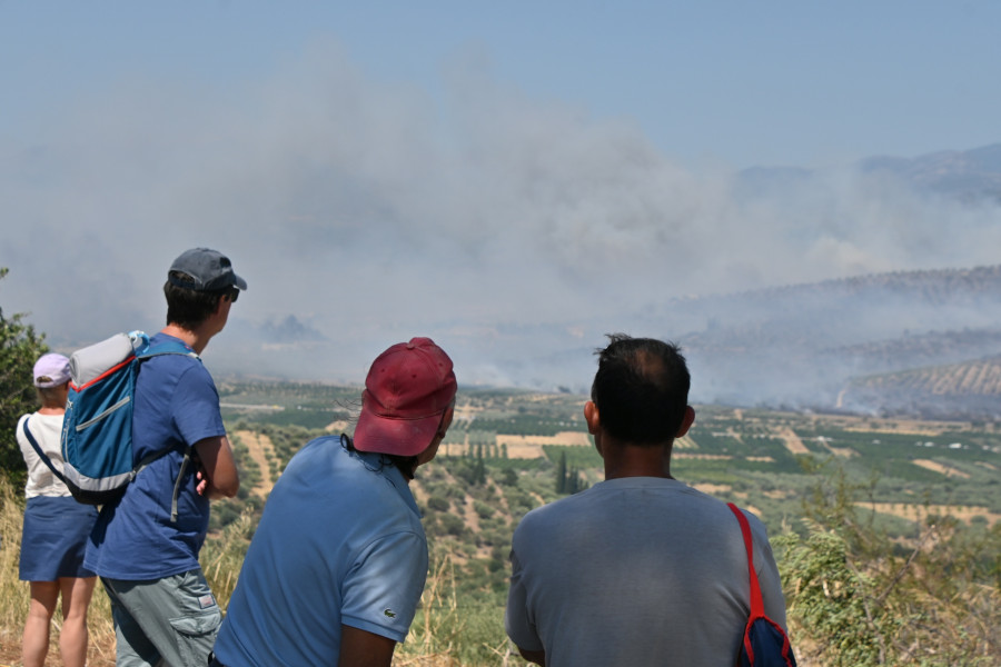 ΠΥΡΚΑΓΙΑ ΣΤΟ ΦΙΧΤΙ ΑΡΓΟΛΙΔΑΣ