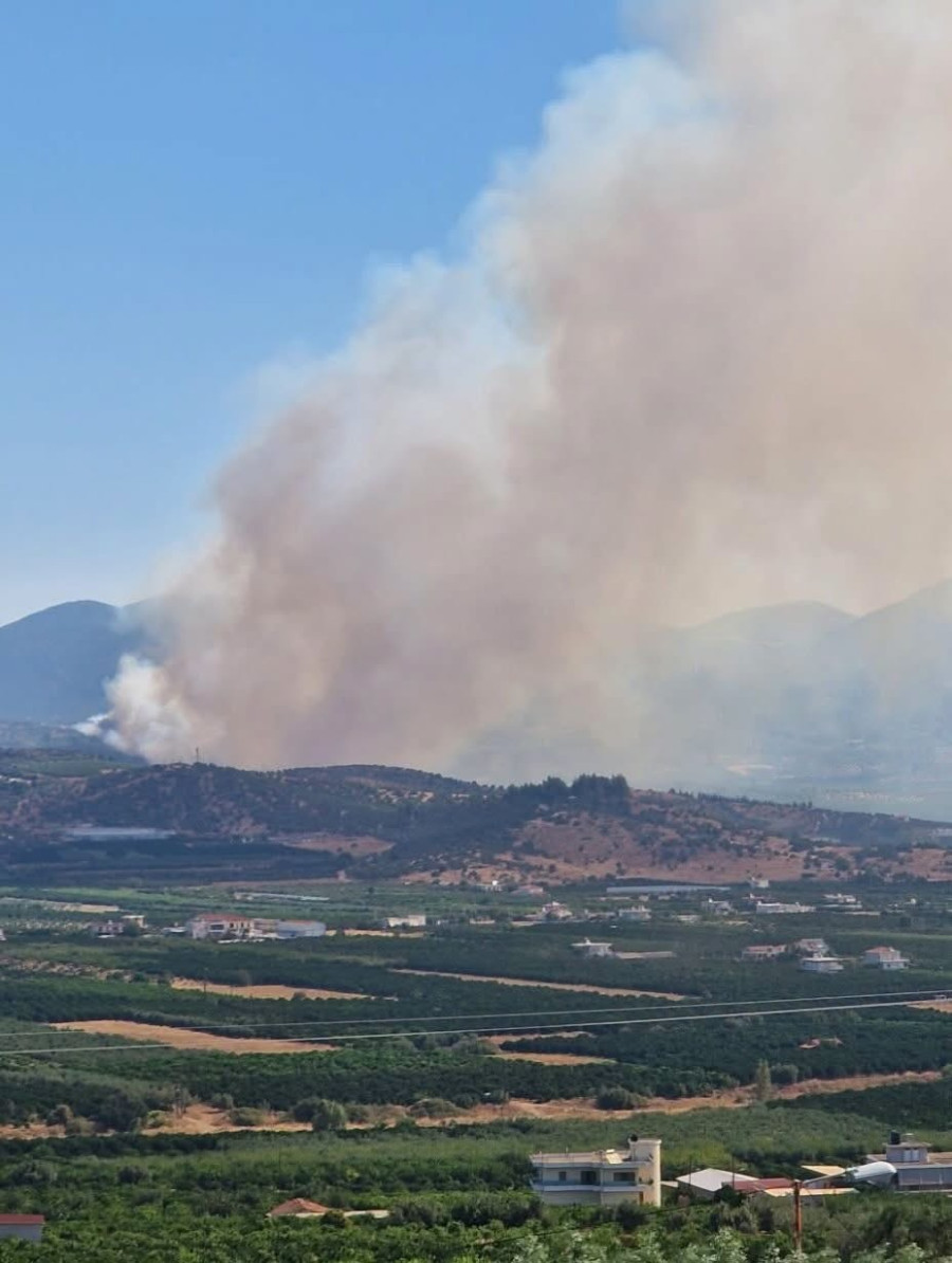 fotia-argolida.jfif