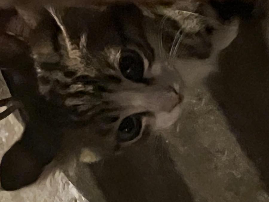 img5327.jpeg