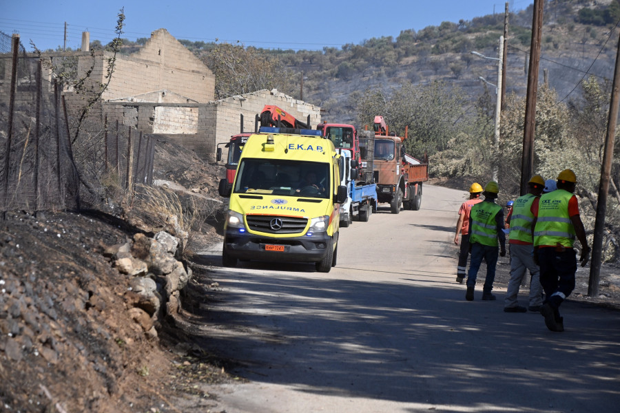 ΠΥΡΚΑΓΙΑ ΦΙΧΤΙΑ ΑΡΓΟΛΙΔΑΣ - ΤΡΑΥΜΑΤΙΣΘΗΚΕ ΥΠΑΛΛΗΛΟΣ ΤΗΣ ΔΕΔΔΗΕ ΑΠΟ ΠΤΩΣΗ ΔΕΝΤΡΟΥ. (ΒΑΣΙΛΗΣ ΠΑΠΑΔΟΠΟΥΛΟΣ/EUROKINISSI)