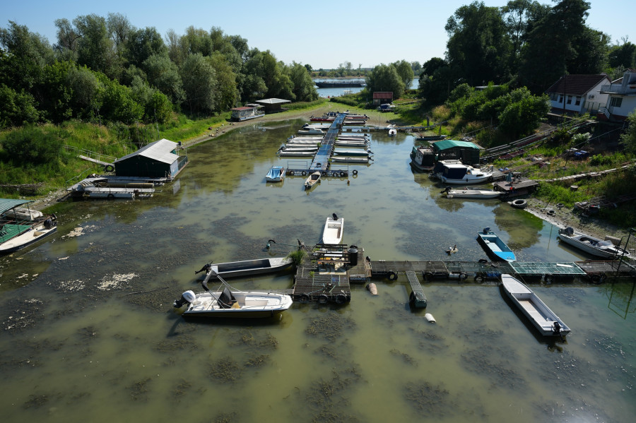Serbia Danube Drought