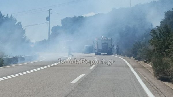 fotia-kamilovrisi2.jpg