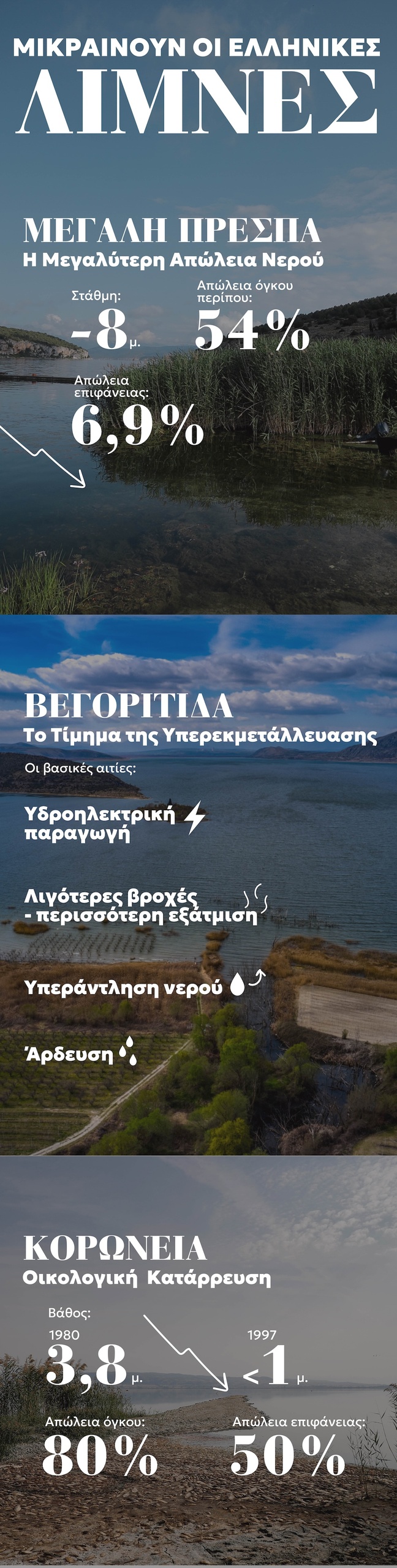 limnes infographic