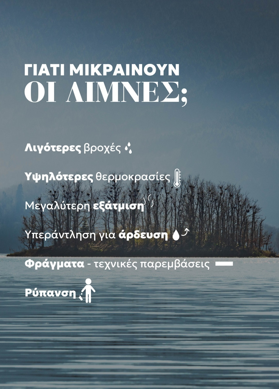 limnes infographic