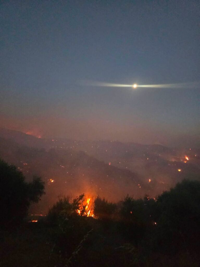 patra.jpg