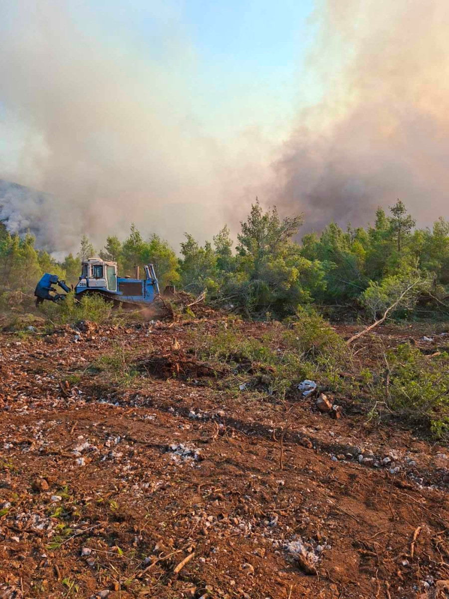 Φωτιά στην Αττικοβοιωτία