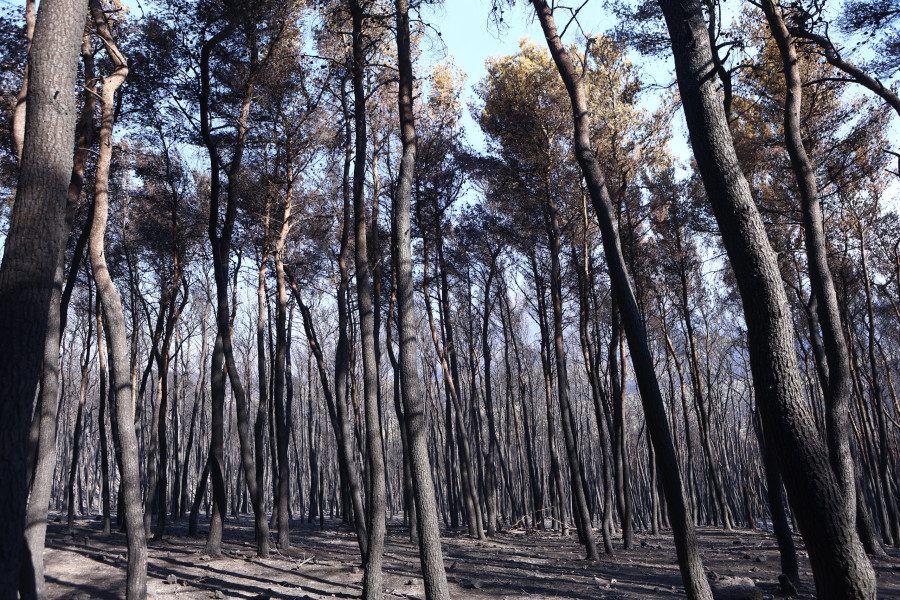 ΕΙΚΟΝΕΣ ΚΑΤΑΣΤΡΟΦΗΣ ΣΤΑ ΚΑΜΕΝΑ ΣΤΟ ΠΟΡΤΟ ΓΕΡΜΕΝΟ