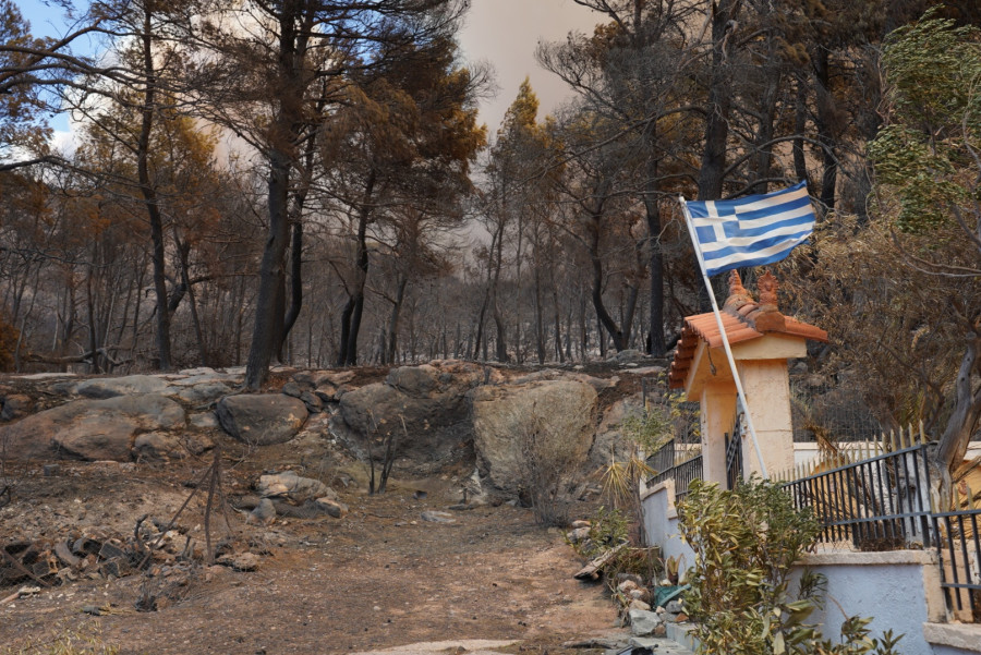 Η επόμενη ημέρα στο Πόρτο Γερμενό μετά την καταστροφική φωτιά.