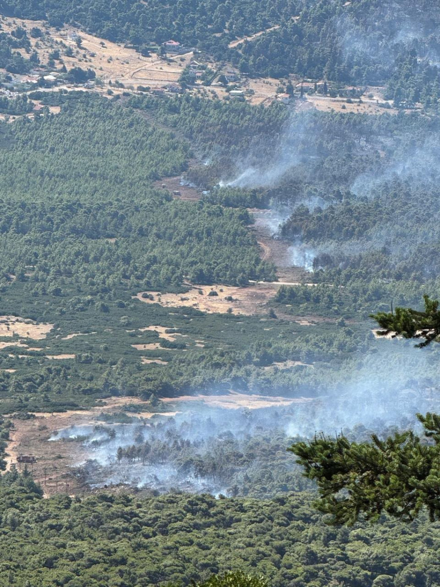 Η αντιπυρική ζώνη που έγινε από βορά προς νότο στην περιοχή Αγίου Νεκταριου- Κρύο Πηγάδι - Αγία Παρασκευή 