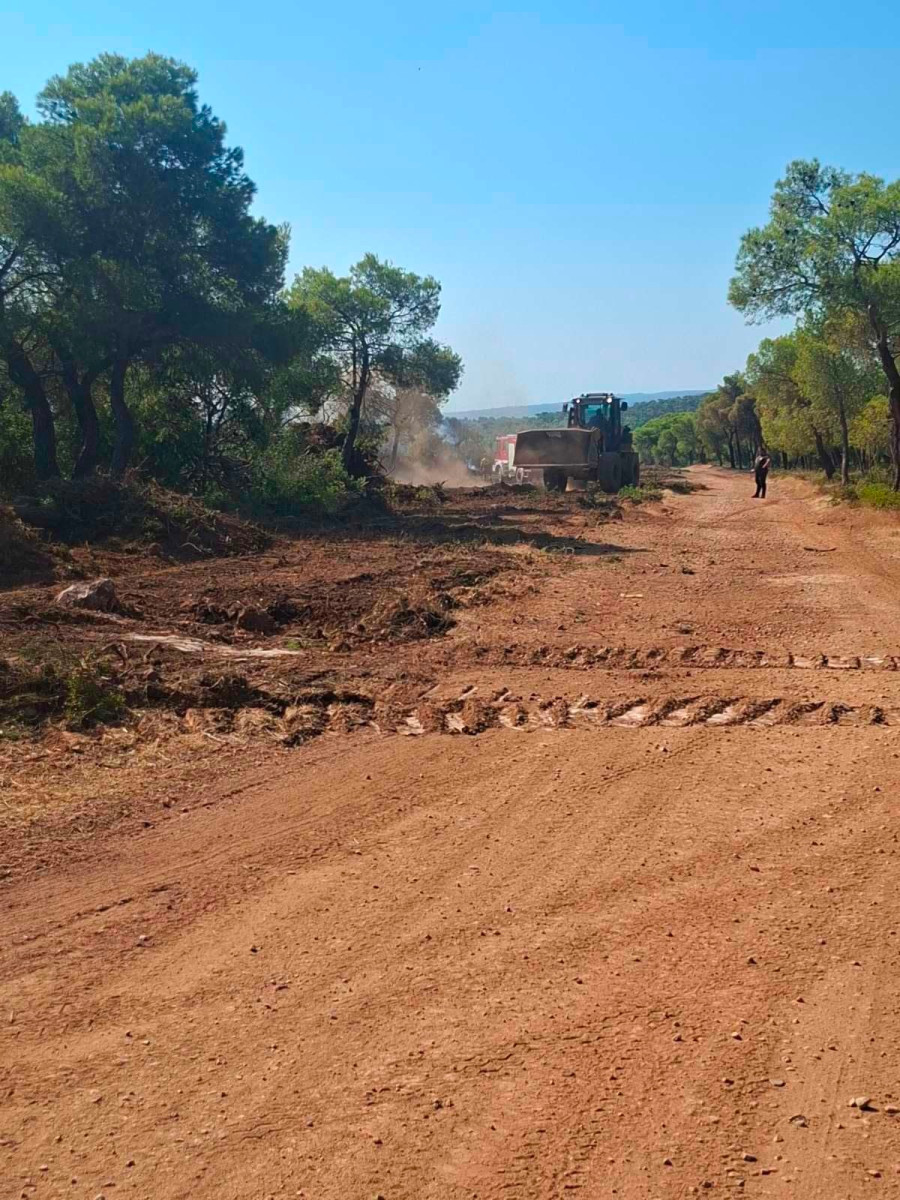 Στιγμιότυπο από διάνοιξη αντιπυρικής ζώνης 
