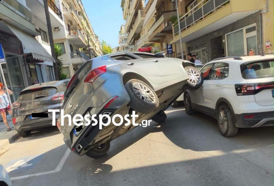 troxaio1.jpg