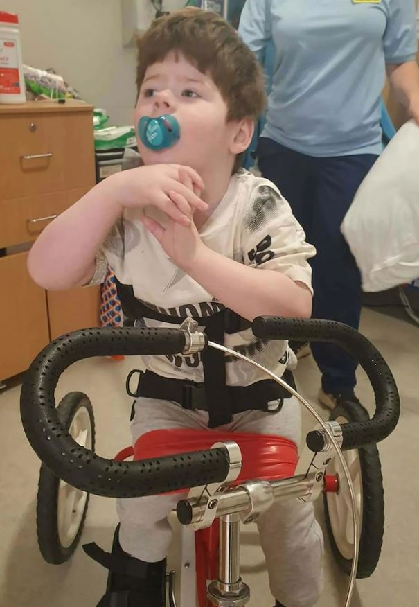 theo-4.jpg