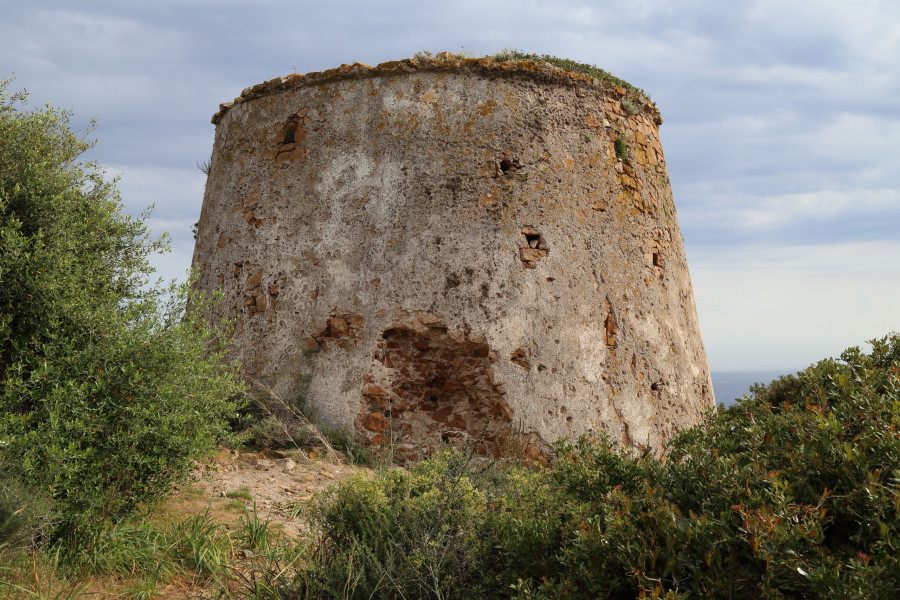 ΚΟΡΣΙΚΗ