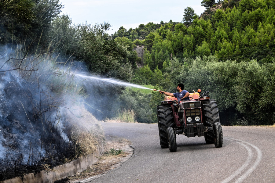 ΦΩΤΙΑ ΗΛΕΙΑ ΜΟΥΖΑΚΙ ( ΣΠΥΡΟΥΝΗΣ ΓΙΑΝΝΗΣ ILIALIVE.GR/EUROKINISSI)