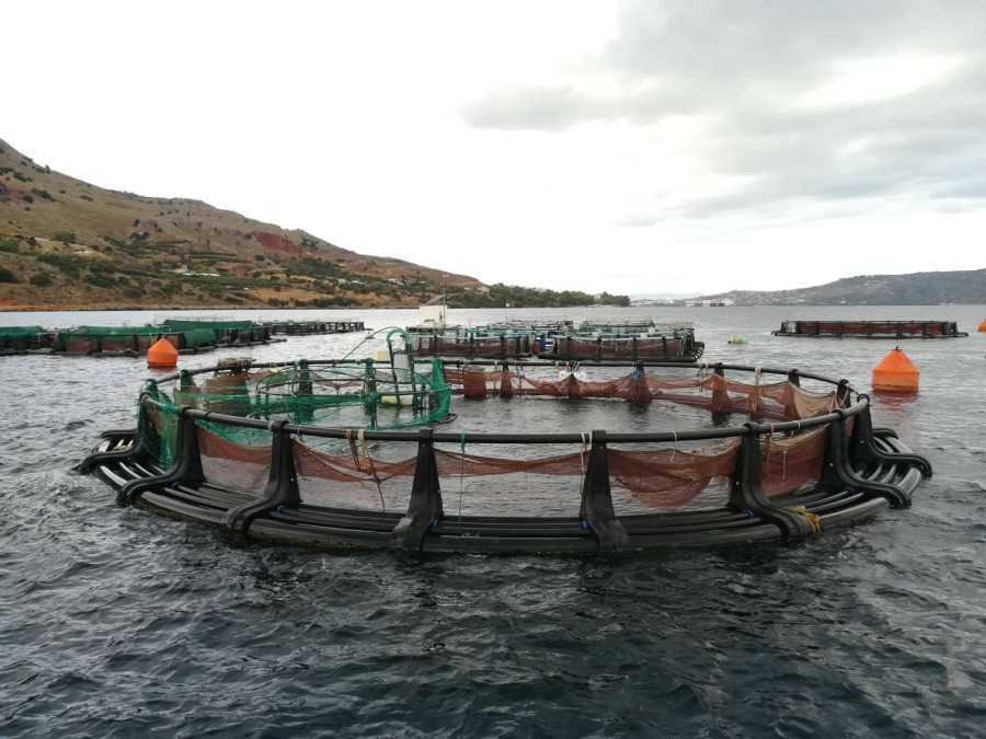 elkethe-souda.jpg