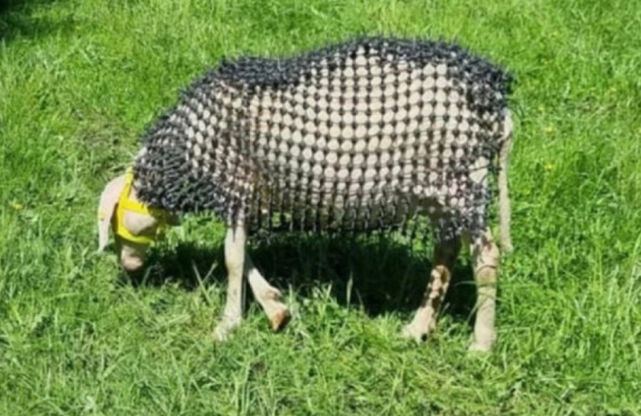 provato-me-panoplia.jpg
