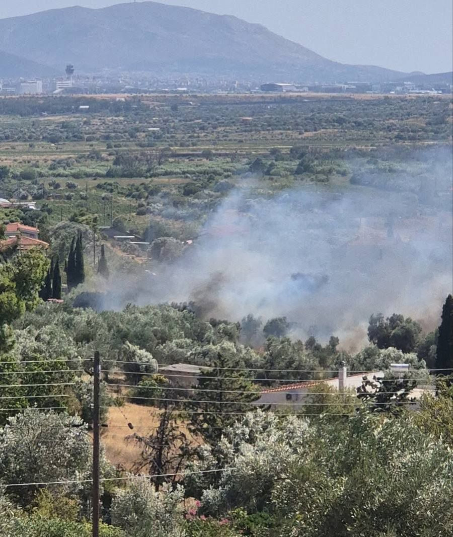 Φωτιά στο Πικέρμι.