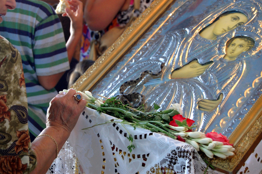 ΚΕΦΑΛΟΝΙΑ - ΤΑ ΦΙΔΑΚΙΑ ΤΗΣ ΠΑΝΑΓΙΑΣ ΣΤΟ ΧΩΡΙΟ ΑΡΓΙΝΙΑ (EUROKINISSI // ΠΑΝΑΓΟΠΟΥΛΟΥ ΓΕΩΡΓΙΑ)