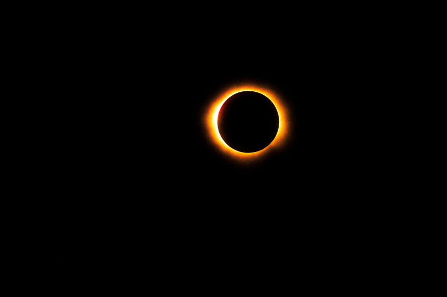 pexels-israwmx-28244872.jpg