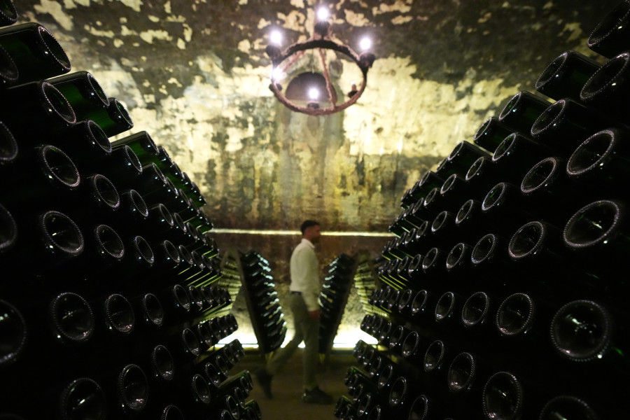 Italy Early Wine Harvest