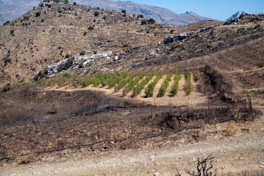 re8ymno.jpg