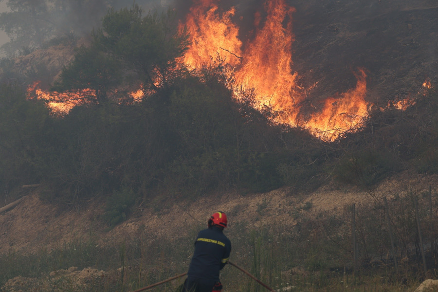 ΠΥΡΚΑΓΙΑ ΣΤΗ ΠΕΡΙΟΧΗ ΣΙΒΗΡΗ ΣΤΗ ΧΑΛΚΙΔΙΚΗ
