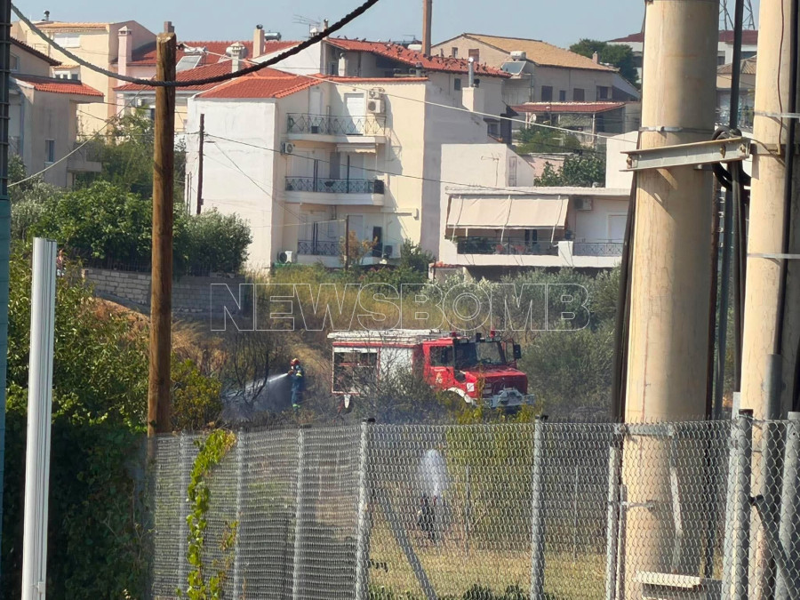 fotia-2.jpg
