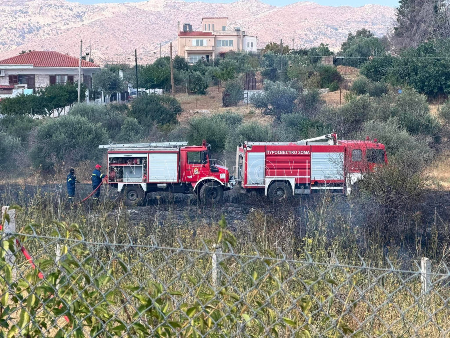 fotia-gerakas-1.jpg