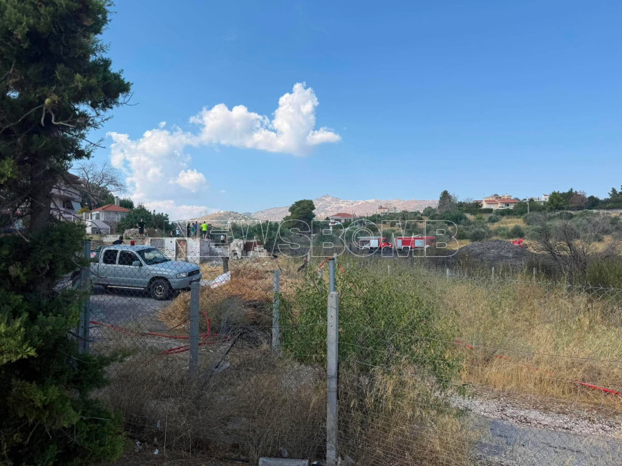 fotia-gerakas-2.jpg