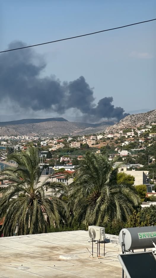 fotia-salamina.jpg