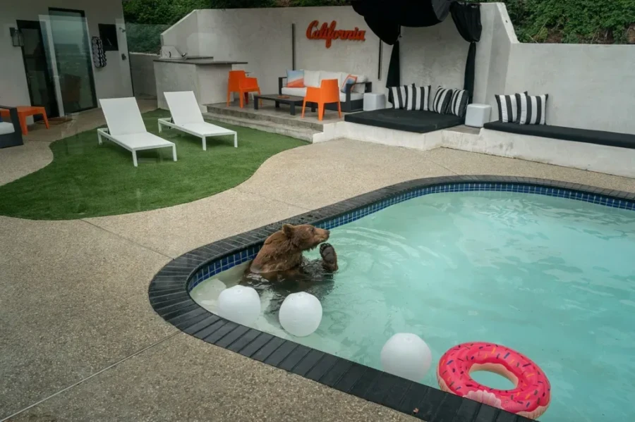 Pooltime Pastime