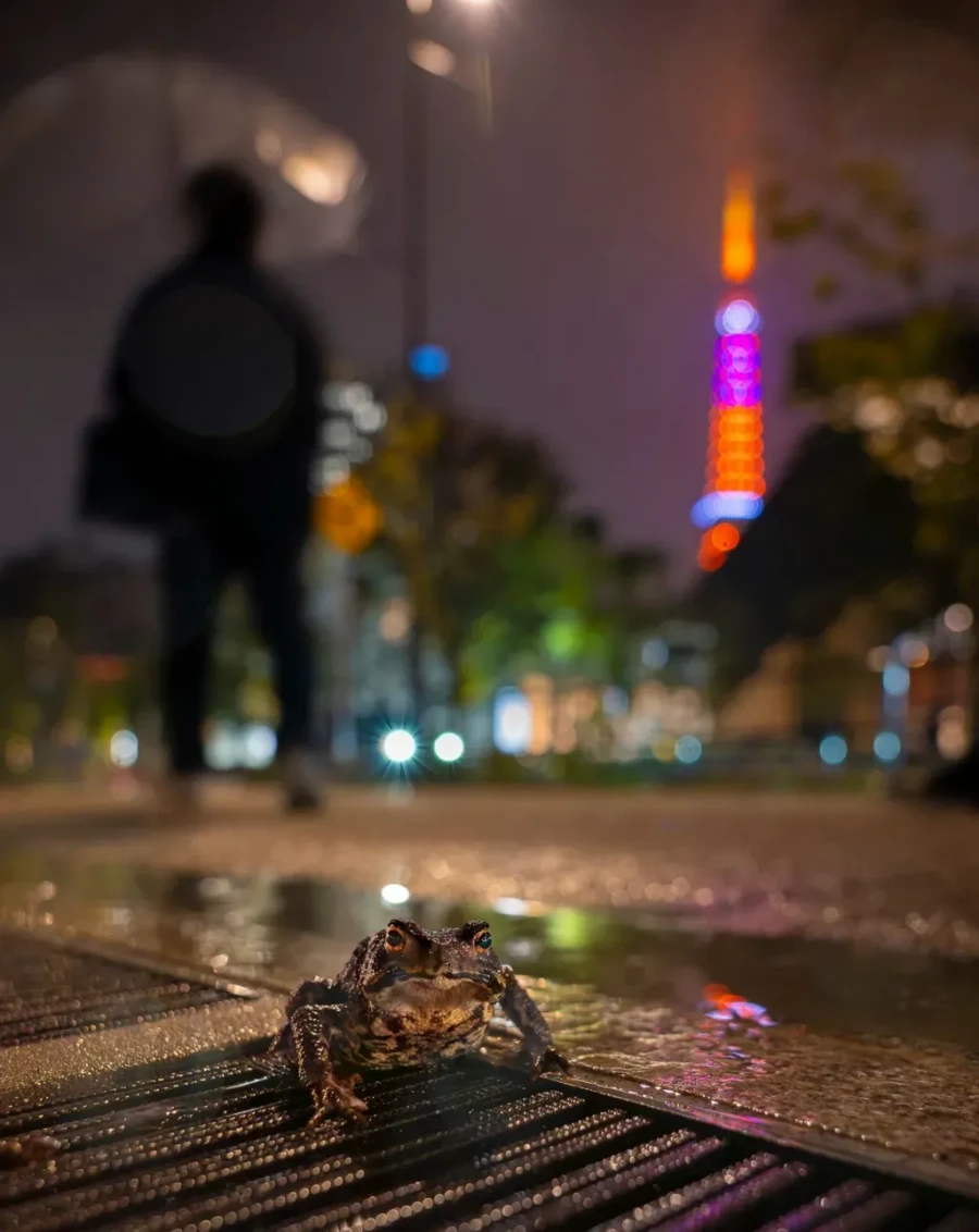 Urban Wanderer