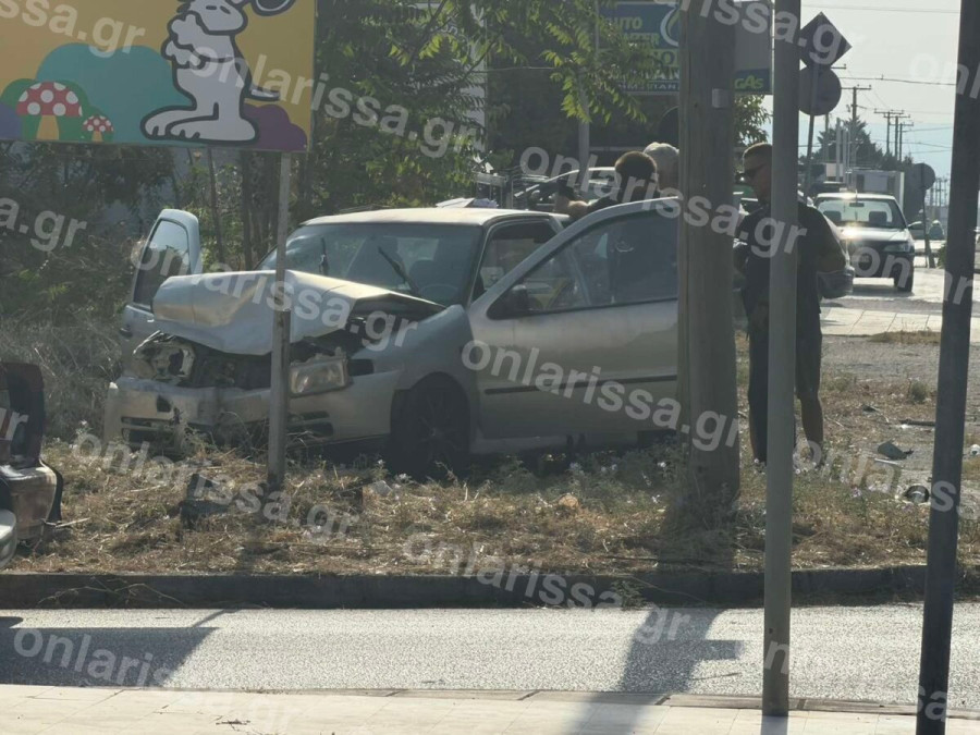 troxaio3.jpg