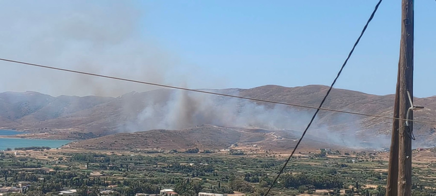 Στιγμιότυπο από τη φωτιά στην Κάρυστο