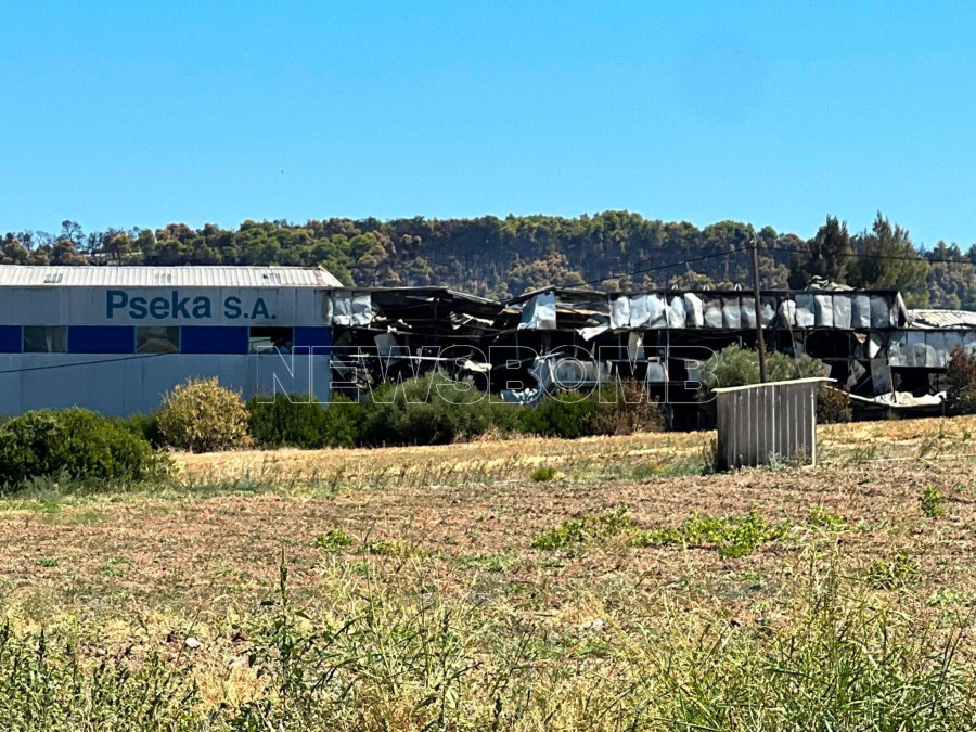 tanagra-pseka-2.jpg