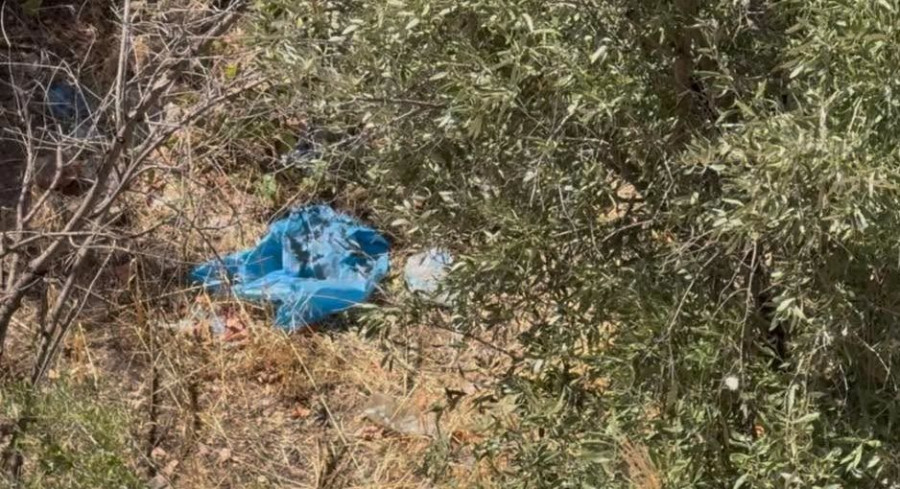 Κυψέλη σακούλα οστά