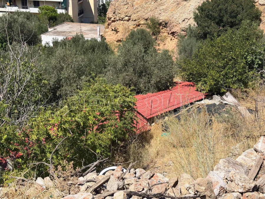 ΚΥΨΕΛΗ ΟΣΤΑ 