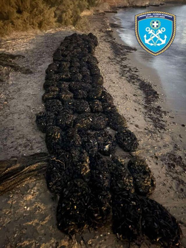 paros-ostraka.jpg