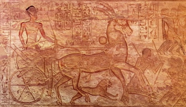 1789364594092-557519413-screenshot-2026-09-14-084244.jpg
