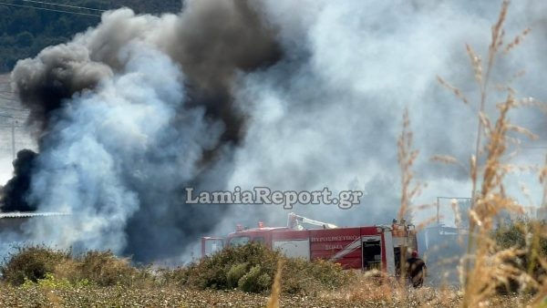 fotia-lamia.jpg